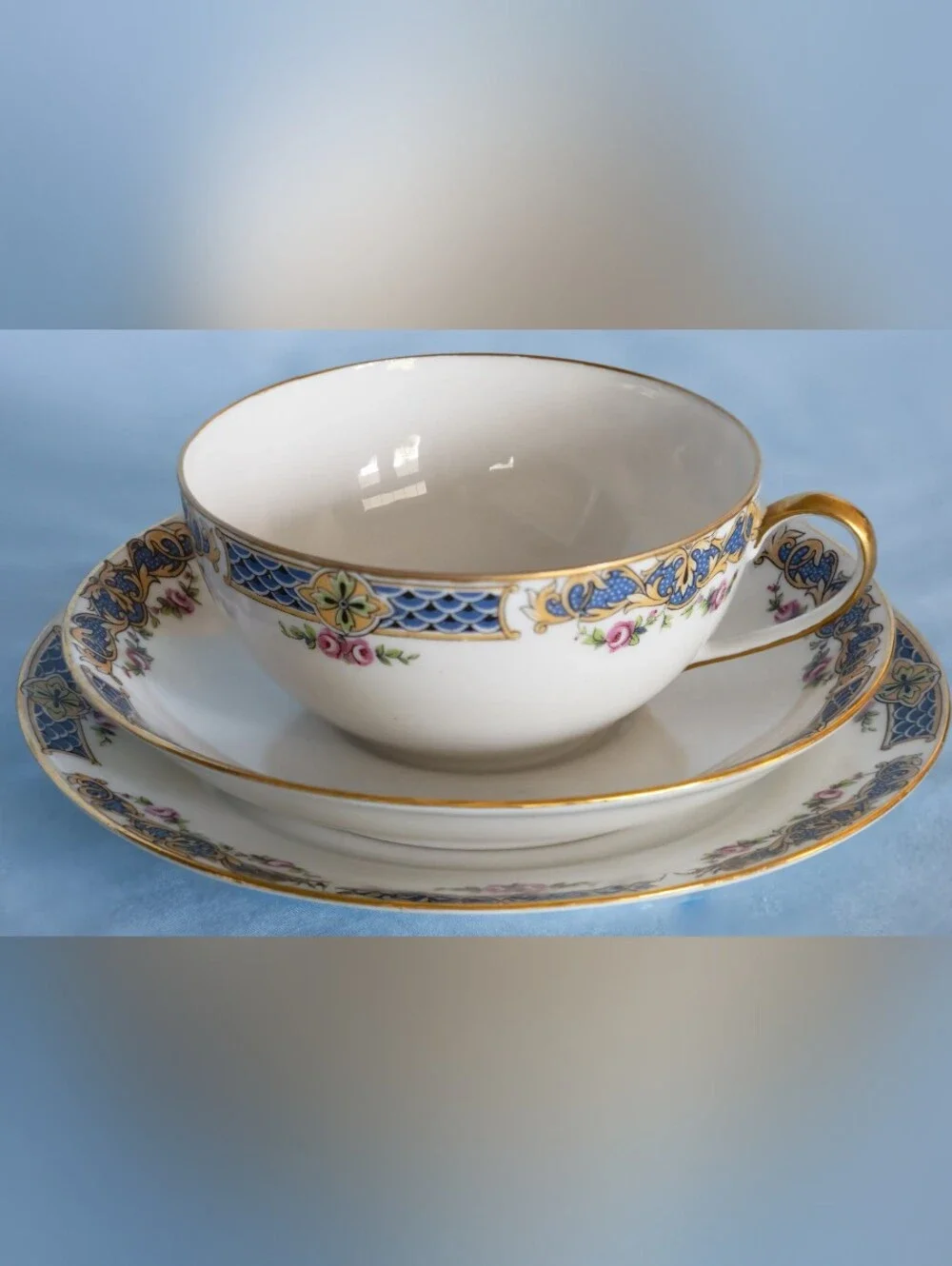 Beautiful Antique Hudson Bay Company Limoges France Triple Set